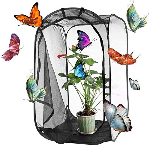 NFF57 Medium Portalbe Insekten-Schmetterling Lebensraum Kits Insekten Schmetterling Garten Netz Käfig Terrarium Stick Insekten Tarantel Gehege Tank Schmetterling Bauernhaus Faunarium 60 x 41 x 39 cm von PETSOOO