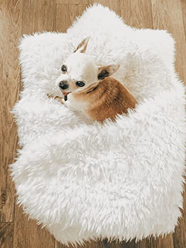 PETSTARPOD Swaddle Pet Bed Slumberland Hundebett für Hunde und Katzen, beruhigt und beruhigt Ihr Haustier zwischen dem Kuscheln, 63x45 cm, maschinenwaschbarer Einsatz und Bezug, Champagnerfarben von PETSTARPOD