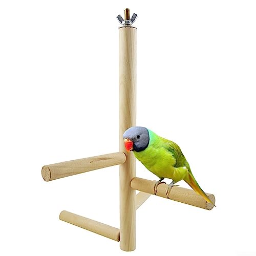 Papageien-Trainingsstange aus Holz, Papageien-Trainingsständer, Haustier-Vogeltisch, Sitzstange, tragbar, Training, Spielstudio, Vogelkäfig-Ständer für Papageien von PETSTIBLE