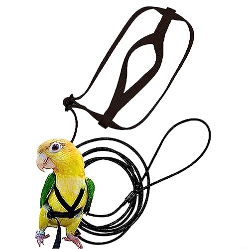 Pet Papagei Bird Harness,Bird Harness Parrot Release Traction Strap Outgoing Rope Papagei Training Leash L von PETSTIBLE