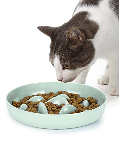 PETTOM Anti Schling Napf für Katzen und Kleine Hunde, Slow Feeder Katze rutschfest, Langsam Fressen Hund mit Hoher Kante gegen Herausfallen (16 * 16cm, Grün) von PETTOM