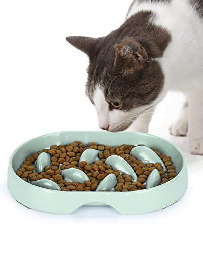 PETTOM Anti Schling Napf für Katzen und Kleine Hunde, Slow Feeder Katze rutschfest, Langsam Fressen Hund mit Hoher Kante gegen Herausfallen (19 * 14cm, Grün) von PETTOM