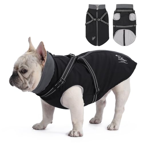 PETTOM Hundemantel Wasserdicht, Hundejacke Kleine Hunde, Hundemantel Winter Warm und Winddicht, Wintermantel Hund Fleece, Hundemantel mit Geschirr (Schwarz, M- Rückenlänge 35cm) von PETTOM