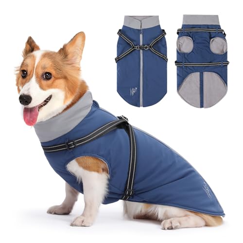 PETTOM Hundemantel Winter, Hundejacke Wasserdicht, Wintermantel Hund mit Geschirr, Hundemantel Winter mit Bauchschutz, Hundejacke Fleece für Mittelgroße Hunde (Blau, XL) von PETTOM