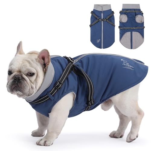 PETTOM Hundemantel für Kleine Hunde, Hundejacke Wasserdicht, Hundemantel Winter Warm und Winddicht, Wintermantel Hund Fleece, Hundemantel mit Geschirr (Blau, M-Rückenlänge 35cm) von PETTOM