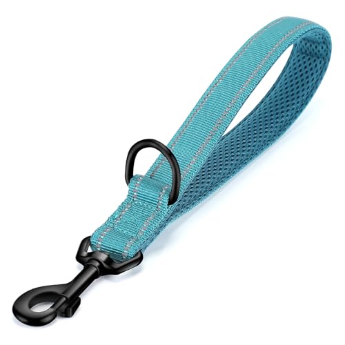 PETTOM Kurzführer Hund mit Griff Strapazierfähigem Nylongewebe Kurze Hundeleine für Hundetraining Geeignet (M - 2.5 x 32 cm, Blau) von PETTOM