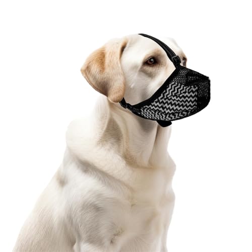 Maulkorb für Kleine Hunde, Atmungsaktiv Maulkorb für Haustiere zum Stoppen des Kauens Design mit Elastischem Riemen Maulkorb für Hunde zum Verhindern des Bellens für Hunde Haustiere (XL) von PEUTIER