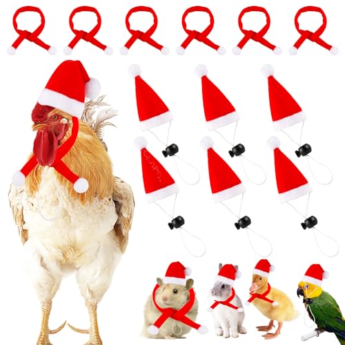 12 Teiliges Weihnachts Haustier Huhn Mützen Schal Set, Weihnachts Tiermütze Mini Mütze Schal für Henne Ente Weihnachts Cosplay Kostüm von PEUTIER