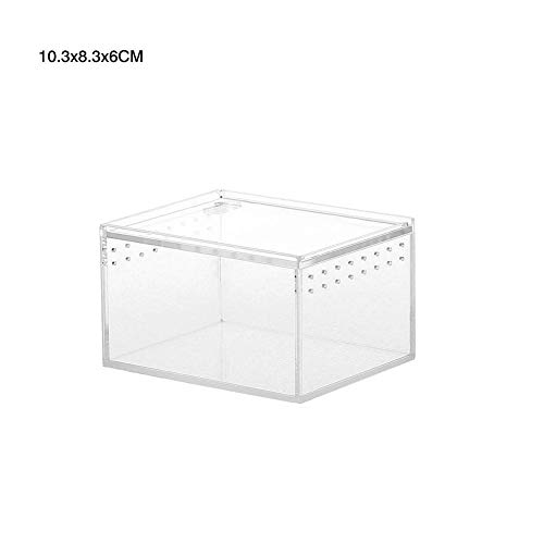 Schildkrötenpanzer Reptilienzüchtungsbox Acryl transparent gleitende Abdeckung Reptilien Panzer Insekten Spinnen Schildkröte Eidechse Fütterungsbox Terrarium für drinnen und draußen ( Color : 10.3x8.3 von PEVSCO