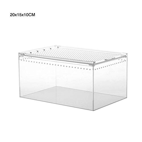 Schildkrötenpanzer Reptilienzüchtungsbox Acryl transparent gleitende Abdeckung Reptilien Panzer Insekten Spinnen Schildkröte Eidechse Fütterungsbox Terrarium für drinnen und draußen ( Color : 20x15x10 von PEVSCO