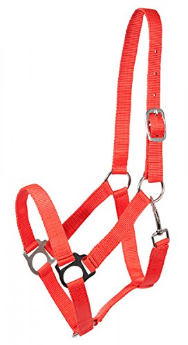 PFIFF 102266-10-Pony Halfter -Udine- Pferdehalfter Nylonhalfter, S, rot PFIFF 102266-10-Pony Halfter -Udine- Pferdehalfter Nylonhalfter, S, rot von PFIFF