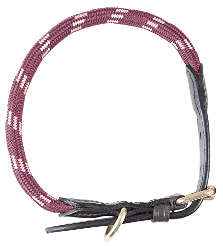 PFIFF 102827 Hundehalsband 'Lina', Bordeaux-beige L von PFIFF