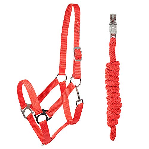 PFIFF 102931 Halfter und Strick Set, Kunststoffhalfter Führstrick, Rot Pony von PFIFF