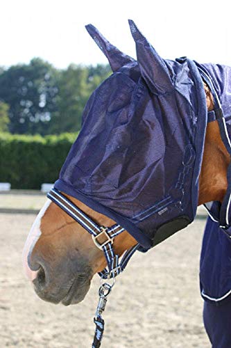 Pfiff 102144 Fliegengesichtsmaske mit Ohren, Fliegenschutz Insektenschutz Maske, Blau, Cob von PFIFF