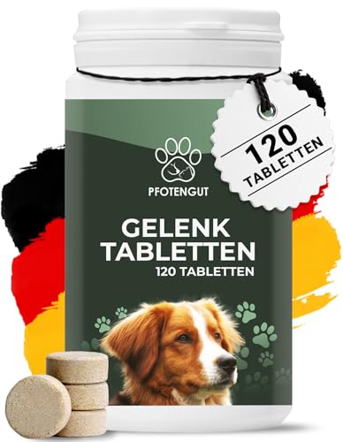 PFOTENGUT® Gelenktabletten Hund [Verbesserte Version 2024] - 120 Gelenktabletten für Hunde mit Grünlippmuschel, MSM, Teufelskralle, Kollagen & Ingwer von PFOTENGUT