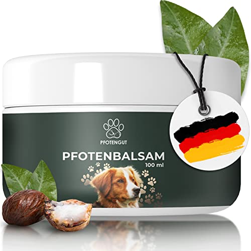 PFOTENGUT® Pfotenbalsam 100ml [Made in Germany] - Pfotenpflege für Hunde gegen trockene und Wunde Pfoten - Hochwertiger Pfotenschutz für Hunde mit Bienenwachs, Sheabutter & Aprikosenkernöl von PFOTENGUT