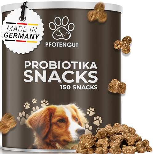 PFOTENGUT® Verdauungssnacks für Hunde [Made IN Germany] - 150 Snacks zur Förderung der Darmflora & Verdauung - Leckerlis zur Stärkung des Immunsystems - Probiotika Hund - Darmflora Aufbau Hund von PFOTENGUT