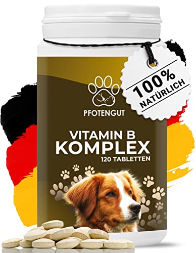 PFOTENGUT® Vitamin B Komplex Hund [Made in Germany] - 120 Tabletten für 4 Monate - Hochdosierte B Vitamine für Hunde & Katzen mit B1, B2, B3, B5, B6, B7, B9 & B12 - Vitamin B für Hunde von PFOTENGUT