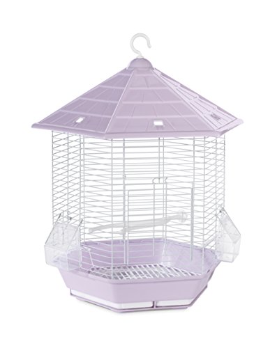 PREVUE PET Products Copacabana Vogelkäfig, Lila, SP31998LILAC von PH Prevue Hendryx