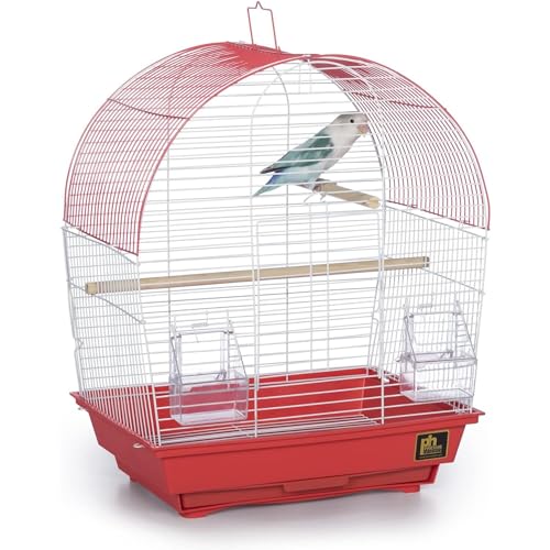 PREVUE PET Products South Beach Dome Top Vogelkäfig, Coral von PH Prevue Hendryx