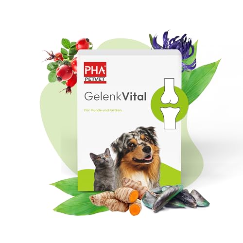 PHA Gelenk Vital für Hund & Katze, Weidenrinde, Grünlippmuschel, Kurkuma, MSM, Glucosamin, Kollagen, Hyaluron, Teufelskralle, Hagebutte, Pulver 150 g von PHA PETVET