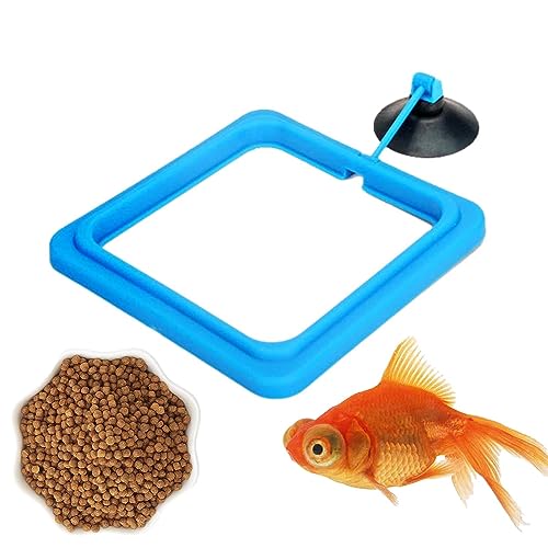 PHASZ Fischfütterung, Futterspender Kreis für Aquarienfische, schwimmende Pflanzenfütterung mit automatischem schadstofffreiem Design für Aquarien von PHASZ