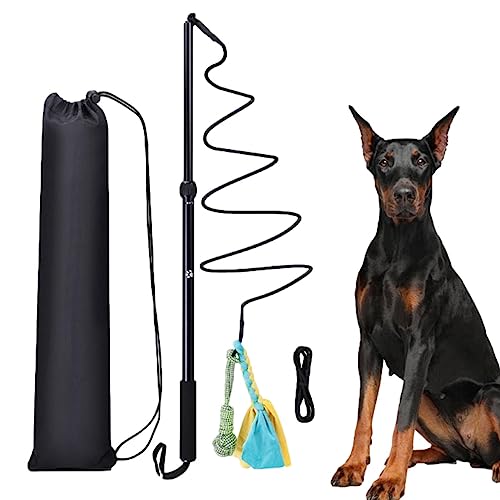 PHASZ Hunde-Teaser-Stick | Teleskop-Zauberstab für Hunde | Tragbares Teleskop-Welpenjagd-Schwanz, interaktives Hundespielzeug im Freien für Haustier, Welpe, Katze, drinnen und draußen, Spaß von PHASZ