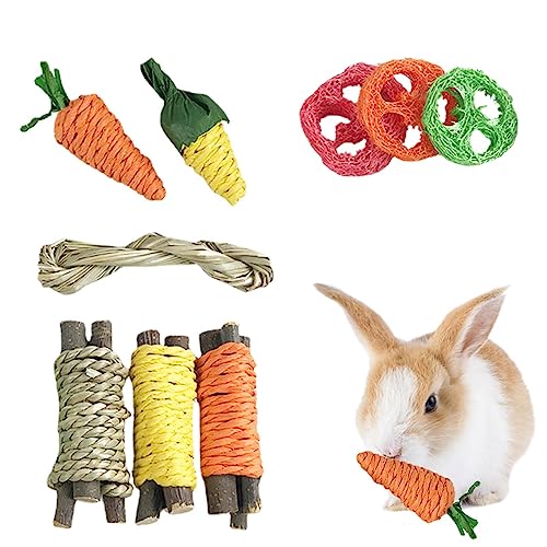 PHASZ Kaninchenspielzeug für Hasen, 9 Stück, Zwerghamster, Kauspielzeug, Übungszubehör für Kleintiere mit Seil, Meerschweinchen-Spielzeug, kleine Haustiere zum Zähneknirschen von PHASZ