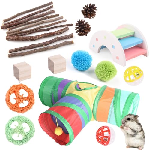 PHASZ Spielzeug Set für Meerschweinchen, Hamster Zahnen Lustiges Spielzeug - Indoor Tier Spielzeug gegen Langeweile für Kinderzimmer, Wohnzimmer, Balkon, Spielzimmer, Arbeitszimmer von PHASZ