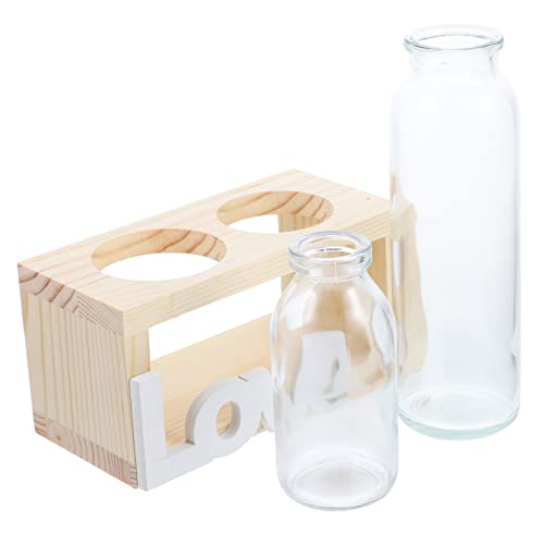 PHENOFICE 1 Satz Luftpflanzen Terrarium Desktop-Vase-Dekor Pflanzentopf für drinnen Zwiebelvase zimmerpflanzen graceling Terrarienpflanzen mit Holzständer Handwerk für glaspflanzer zu Hause von PHENOFICE