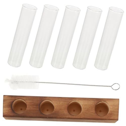 PHENOFICE 1 Set Pflanzenvermehrungsstation Aus Mit Glas Reagenzgläsern Für Das Heimbüro Ideal Zur Pflanzenzucht Und Dekoration Im Innenbereich Minimalistisches Design von PHENOFICE