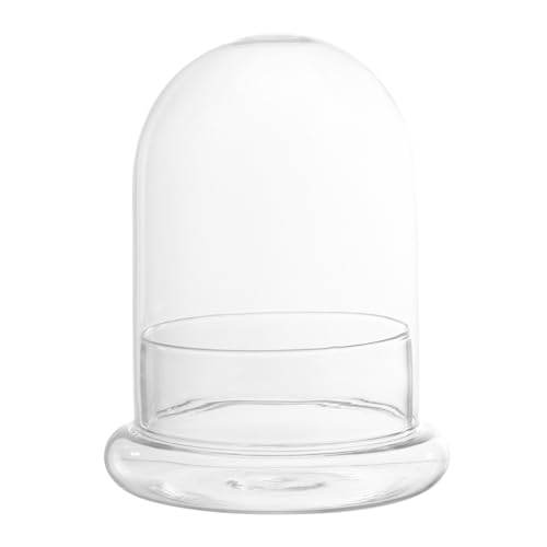 PHENOFICE DIY Glasflasche Für Mikrolandschaften Dekorative Glasflasche Mit Miniatur Ornamenten Zur Kreativen Gestaltung Von Terrarien Und Pflanzenarrangements Ideal Für von PHENOFICE