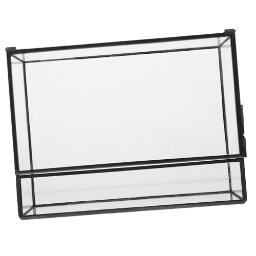 PHENOFICE Kasten Glas-landschaftstank Mikro-landschafts-DIY-Halter DIY Glasbehälter Moos Landschaft Container Pflanzenterrarium Displayhalter Im Querformat Landschaftsbehälter Zinn von PHENOFICE