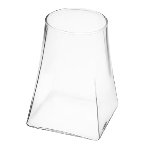 PHENOFICE Mikro Landschafts Flaschenvasen Für Mittelstücke Mini Vasen Vase Terrarium Mikro Landschafts Flasche Pflanzenbehälter Vase Topf Vermehrungsstation Pflanzenvase Glas von PHENOFICE