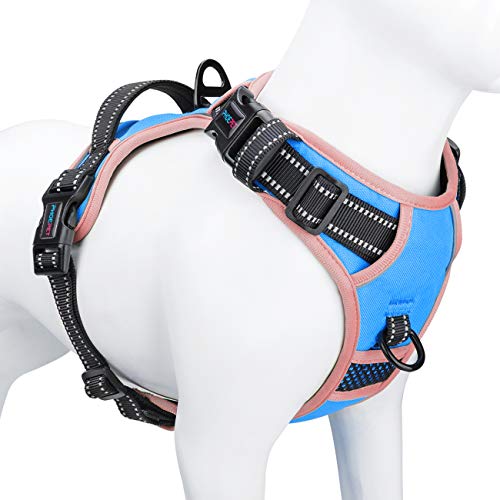 PHOEPET 2019 Hundegeschirr, kein Ziehen, Größe M, reflektierend, mit Clip, Weste mit Griff, verstellbar, 2 Metallringe, 3 Schnallen, leicht an- und auszuziehen, Größe M, Blau PHOEPET 2019 Hundegeschirr, kein Ziehen, Größe M, reflektierend, mit Clip, Weste mit Griff, verstellbar, 2 Metallringe, 3 Schnallen, leicht an- und auszuziehen, Größe M, Blau von PHOEPET