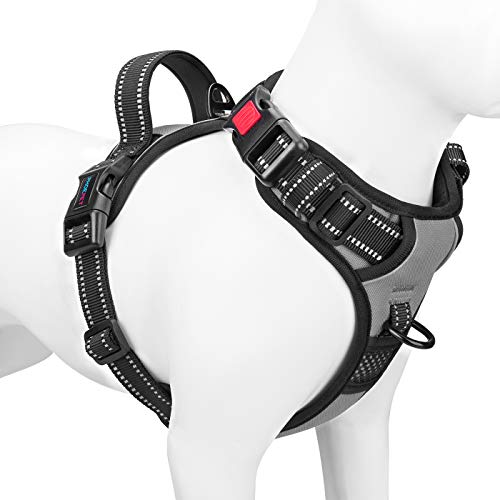 PHOEPET Anti-Zieh-Hundegeschirr, reflektierend, verstellbar, mit Clip an der Vorderseite, Weste mit Griff, 2 Metallringe, 3 Schnallen, einfach an- und auszuziehen, Größe XS, Grau PHOEPET Anti-Zieh-Hundegeschirr, reflektierend, verstellbar, mit Clip an der Vorderseite, Weste mit Griff, 2 Metallringe, 3 Schnallen, einfach an- und auszuziehen, Größe XS, Grau von PHOEPET