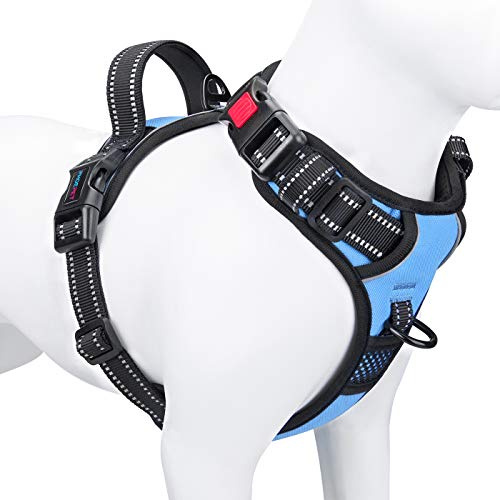 PHOEPET Hundegeschirr, 3M, reflektierend, verstellbare Weste mit Trainingsgriff, Namensausweis-Tasche, 2 Metall-Leinenhaken, 3 Schnappschnallen [einfach an- und auszuziehen] (XL, Babyblau) von PHOEPET