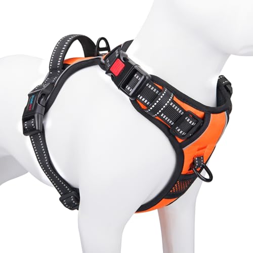 PHOEPET Hundegeschirr ohne Zug für kleine Hunde Reflektierende Weste mit verstellbarem Clip vorne mit Griff 2 Metallringe 3 Schnallen [Einfach an- und auszuziehen] (L, Orange) von PHOEPET