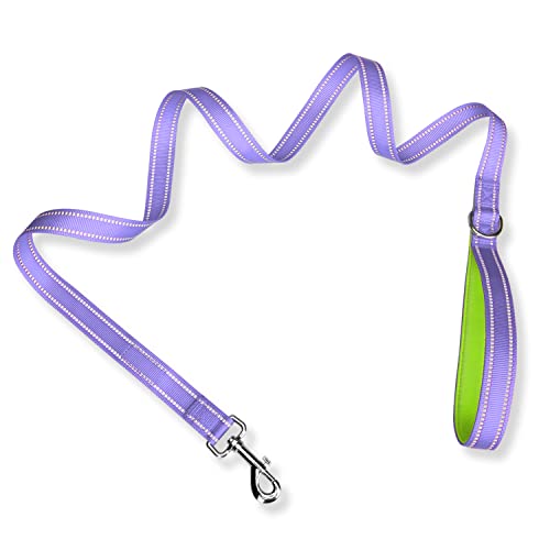 PHOEPET Hundeleine, 152 cm, doppelseitig, reflektierend, weich gepolsterter Griff, geeignet zum Spazierengehen, Training oder Erkunden von Wandern, Camping (Baby Purple + Green Base) von PHOEPET