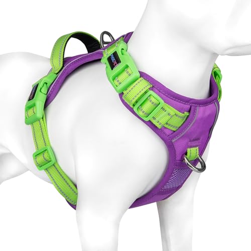PHOEPET No Pull Hundewestengeschirr, verstellbares, reflektierendes, Nicht erstickendes Haustiergeschirr mit einfach zu bedienendem Griff und Metallklammern für Hunde(Violett Basis & Grüne Träger,XL PHOEPET No Pull Hundewestengeschirr, verstellbares, reflektierendes, Nicht erstickendes Haustiergeschirr mit einfach zu bedienendem Griff und Metallklammern für Hunde(Violett Basis & Grüne Träger,XL von PHOEPET