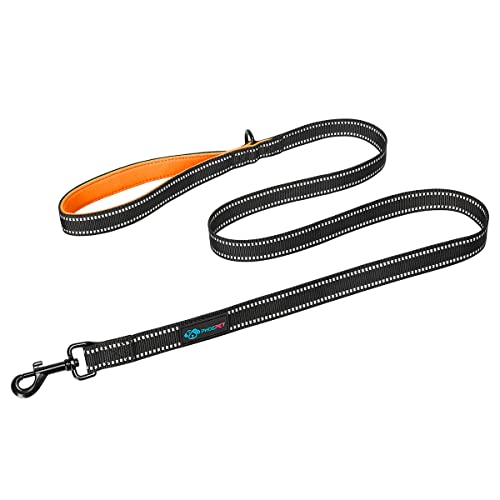 PHOEPET Strapazierfähige Hundeleine, Laufleine, Trainingsleine, reflektierend, weich gepolsterter Griff für zusätzliche Kontrolle, Größe L, Orange von PHOEPET