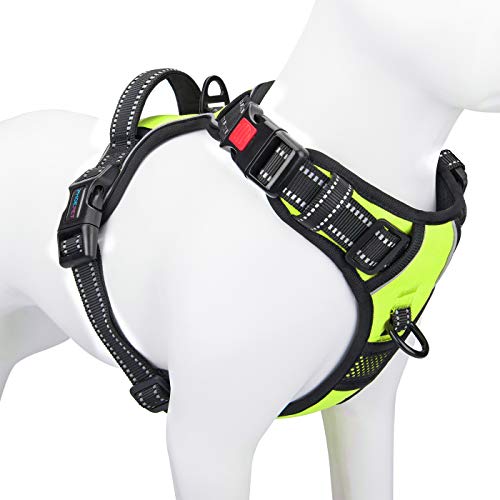 Phoepet Anti-Zieh-Hundegeschirr, reflektierend, verstellbar, mit Trainingsgriff, Namensausweisfach, 2 Metall-Leinenhaken, 3 Schnappschnallen, einfaches Anziehen und Abnehmen, XL, grün von PHOEPET