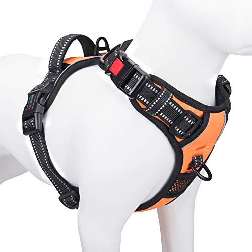 Phoepet Anti-Zieh-Hundegeschirr, reflektierend, verstellbar, mit Trainingsgriff, Namensausweisfach, 2 Metall-Leinenhaken, 3 Schnappschnallen, einfaches Anziehen und Abnehmen, XS, Orange von PHOEPET