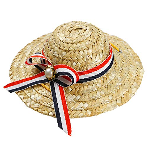 PHTOIT Mini Haustier Hunde Sombrero Sonnenhut Beach Party Strohhuete Hunde Mode Stil Hut Fuer Hunde und Katzen Lustige Zubehoer (rot + + blau) von PHTOIT