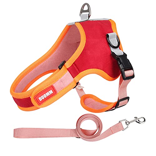 Piang Gouer Hundegeschirr und Leine Set für kleine und mittlere Hunde, reflektierende Wildleder Service Hundegeschirr mit verstellbaren gepolstert für Outdoor Spaziergänge Haustierweste(Rot-S) von PIANG GOUER