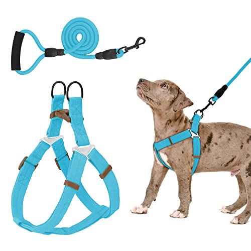 Piang Gouer Hundegeschirr und Leinen-Set ， Verstellbares, bequemes Hals Balance Hundehalftergeschirr für kleine, mittelgroße Hunde, kein Ziehen, einfaches Gehen, Hundegeschirr(Blau-XL) von PIANG GOUER