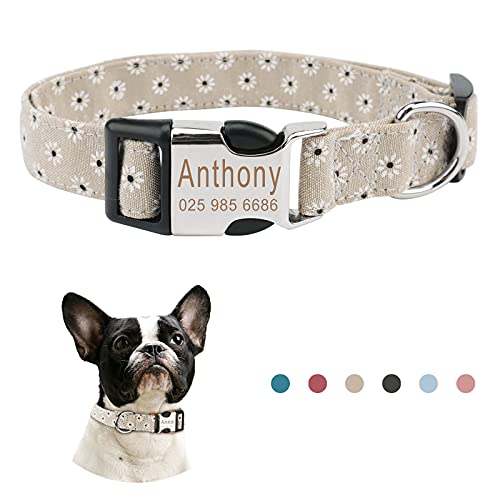 Piang Gouer Personalisierte individuelle hundehalsband katzenhalsband mit Namen Gravur mit ID Tags und Telefonnummer Halsband Hund，für kleine und mittelgroße und große Katzen (Khaki,M) von PIANG GOUER