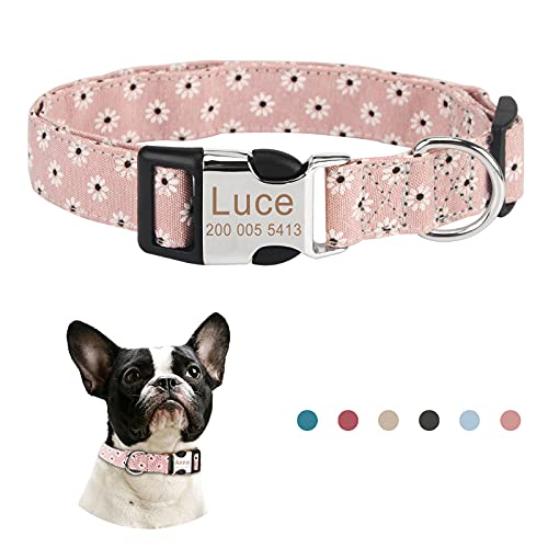 Piang Gouer Personalisierte individuelle hundehalsband katzenhalsband mit Namen Gravur mit ID Tags und Telefonnummer Halsband Hund，für kleine und mittelgroße und große Katzen (Rosa,L) von PIANG GOUER