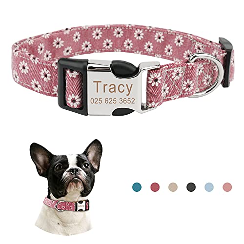 Piang Gouer Personalisierte individuelle hundehalsband katzenhalsband mit Namen Gravur mit ID Tags und Telefonnummer Halsband Hund，für kleine und mittelgroße und große Katzen (Violett,XS) von PIANG GOUER