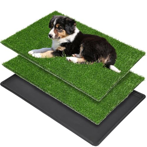 Große Hunde-Grasmatte mit Tablett, für den Innenbereich, für Wohnungs- und Terrassentraining, mit 2 Packungen Hundegras-Pads als Ersatz (Tablett, Töpfchen, 59,9 x 90,2 cm) von PICK FOR LIFE